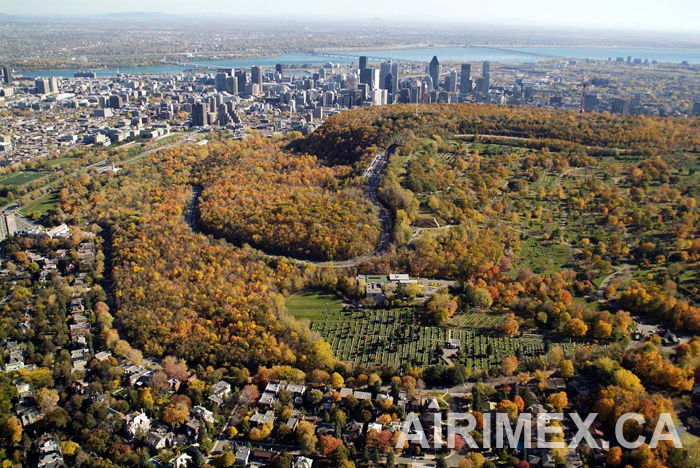 Utilisée au colloque des Montérégiennes à l'Université de Montréal, cette vue du Mont - Royal sera embassadrice de Montréal en Belgique, France, Allemagne, Espagne, Italie et Hollande pour AIR TRANSAT en 2011.    